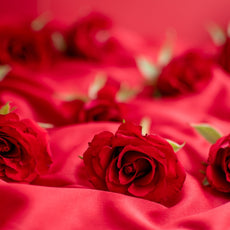 Bioethanol Roseduft - 1 L