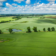 Bioethanol med duft af Grønne Bakker – 1 L
