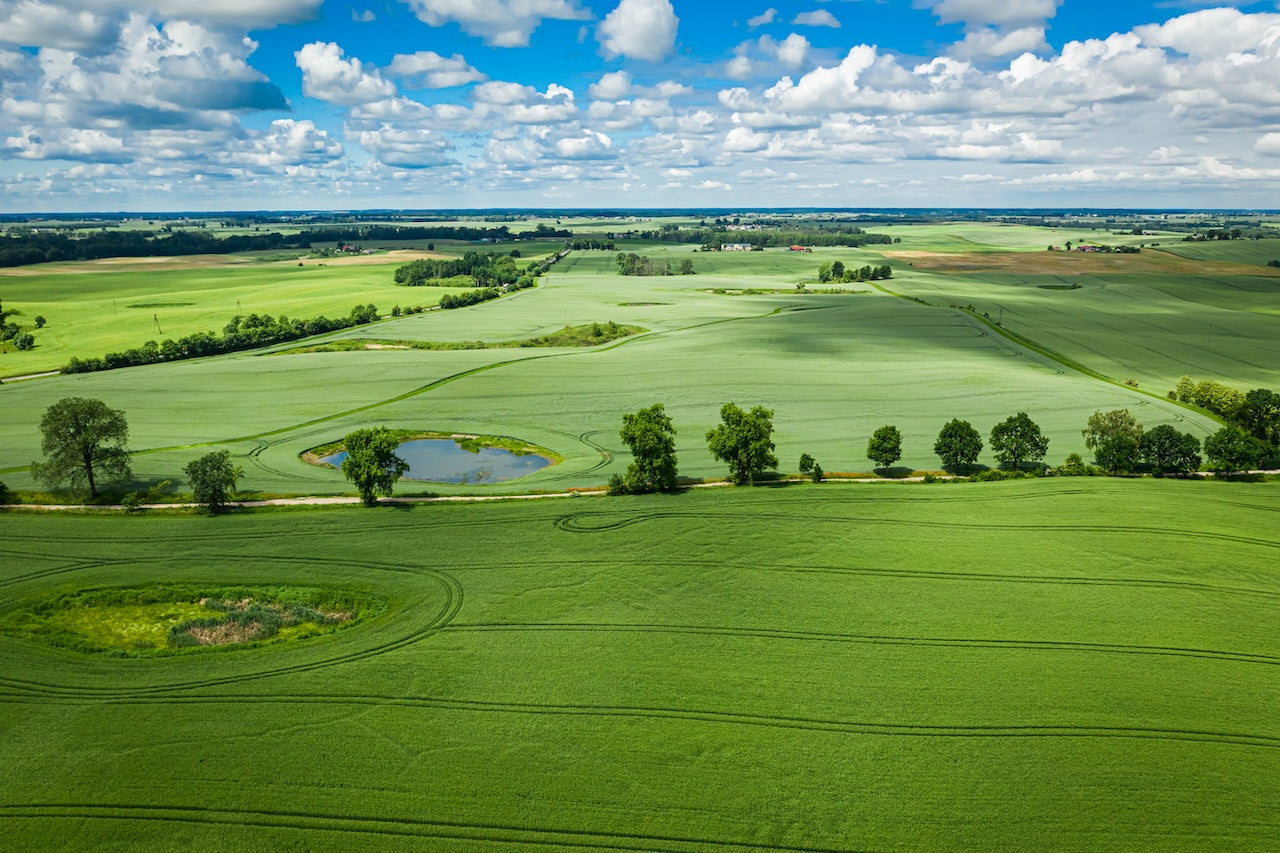 Bioethanol med duft af Grønne Bakker – 1 L